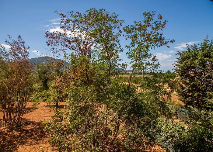 בית כפרי Vecchio Molino גאבוראנו